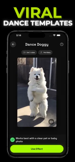Danzify App Store preview of dance video templates